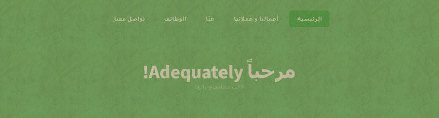 قالب ADEQUATELY قالب ADEQUATELY